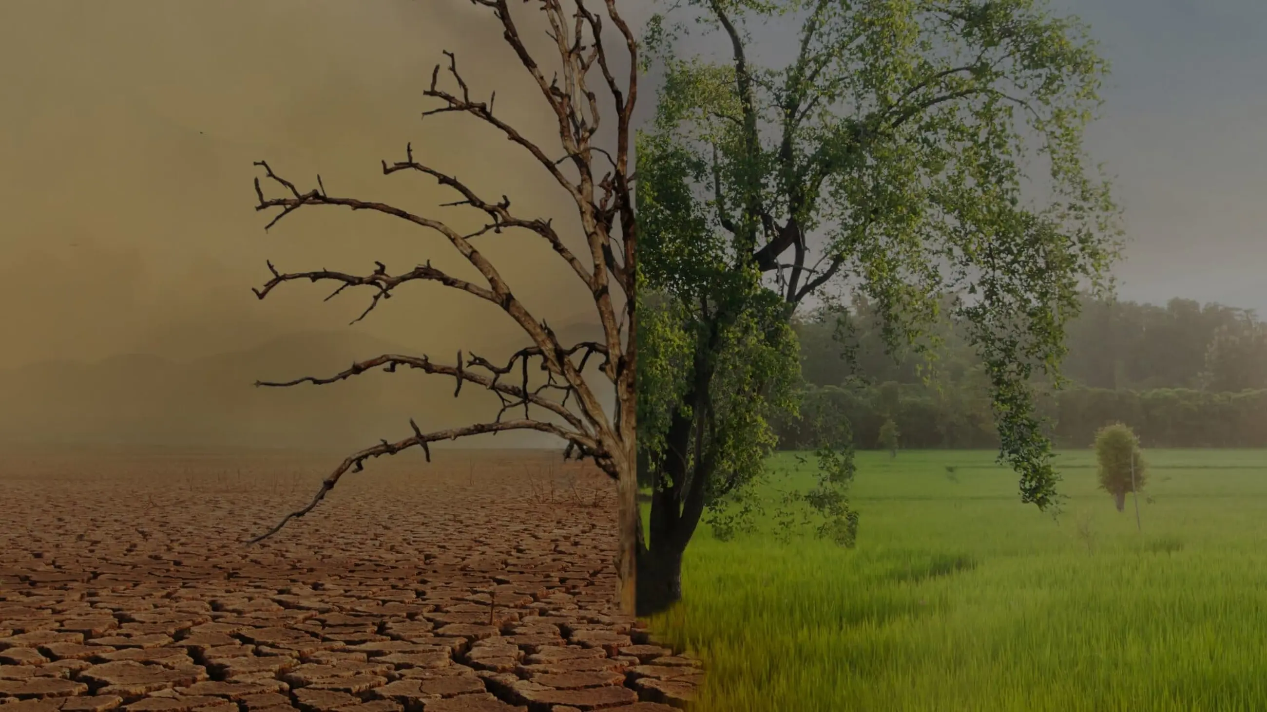 Klimawandel