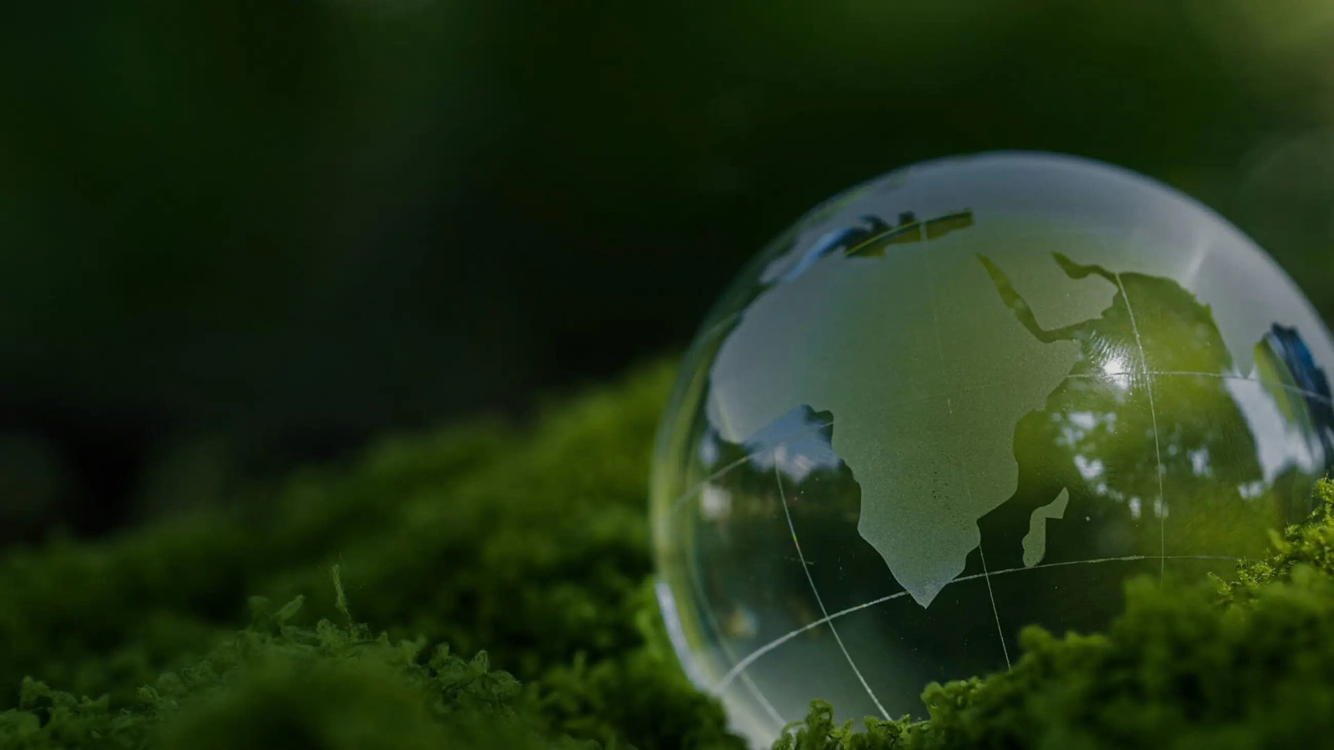 Green Economy